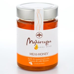 Μελόσταγμα Μέλι Ανθέων 430ml